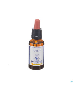 Healing herbs gorse    30ml