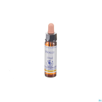 Healing herbs holly    10ml