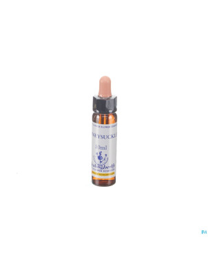 Healing herbs honeysuckle    10ml