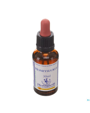Healing herbs honeysuckle    30ml