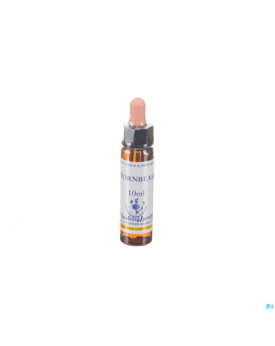 Healing herbs hornbeam    10ml