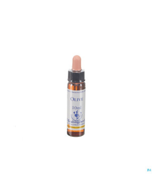 Healing herbs olive    10ml