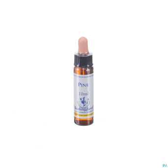 Healing herbs pine    10ml