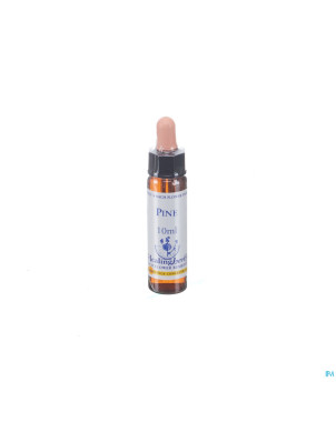 Healing herbs pine    10ml