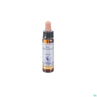 Healing herbs red chestnut    10ml