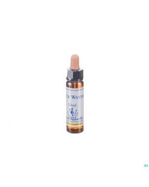 Healing herbs rock water    10ml