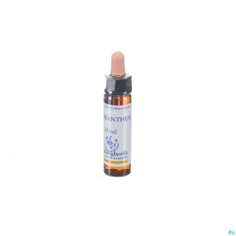 Healing herbs scleranthus    10ml