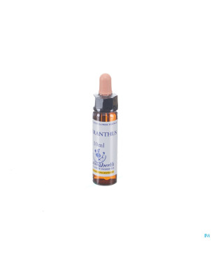 Healing herbs scleranthus    10ml
