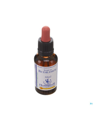 Healing herbs star bethlehem   30ml