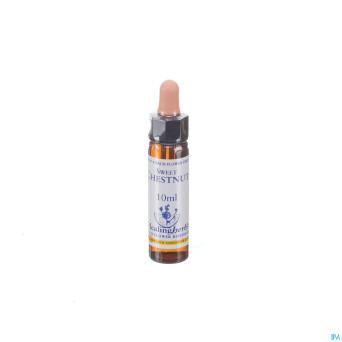 Healing herbs sweet chestnut   10ml