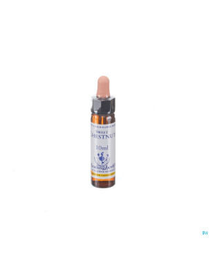 Healing herbs sweet chestnut   10ml