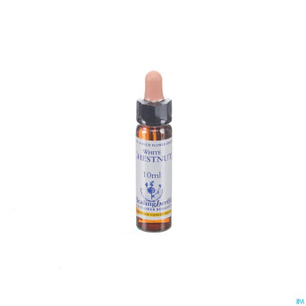 Healing herbs white chestnut   10ml
