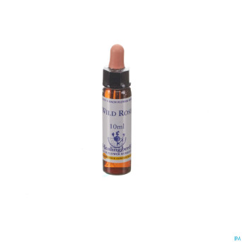 Healing herbs wild rose    10ml
