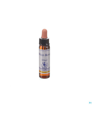 Healing herbs wild rose    10ml