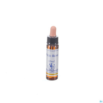 Healing herbs wild rose    10ml