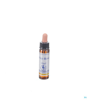 Healing herbs wild rose    10ml