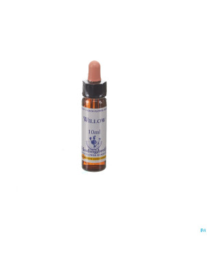Healing herbs willow    10ml