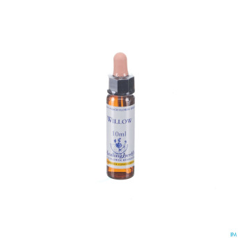 Healing herbs willow    10ml