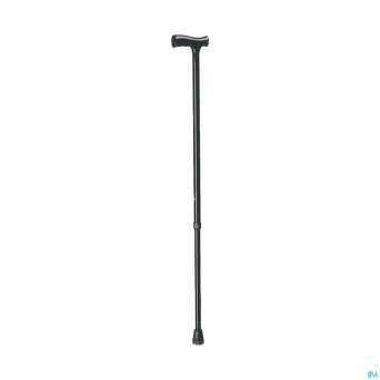 Homecare canne aluminium poignet en t  w2090001001