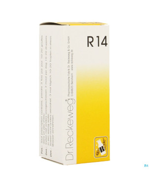 Reckeweg dr. r14    gutt 50ml