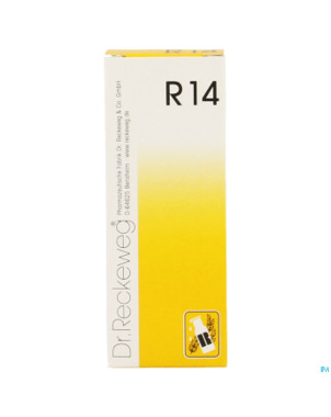 Reckeweg dr. r14    gutt 50ml