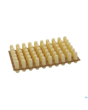 Capsicards ivory carte   60 1020 00    certa