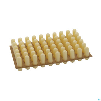 Capsicards ivory carte   60 1440  2    certa