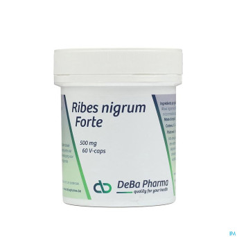 Ribes nigrum    v-caps  60    deba