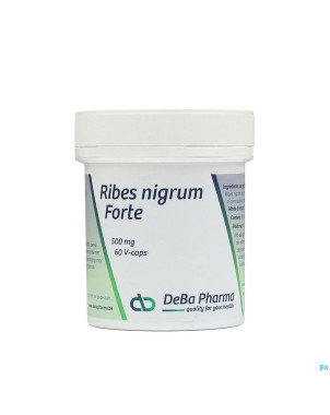 Ribes nigrum    v-caps  60    deba