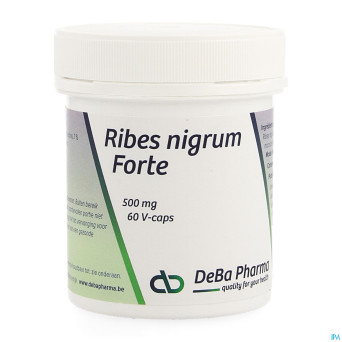 Ribes nigrum    v-caps  60    deba