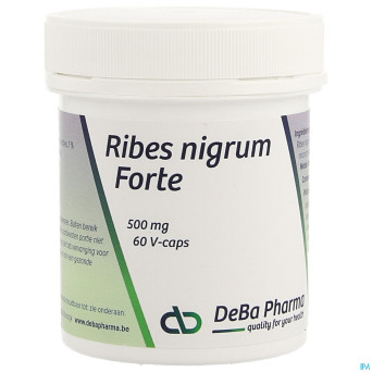 Ribes nigrum    v-caps  60    deba
