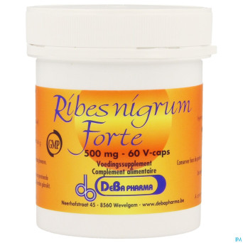 Ribes nigrum    v-caps  60    deba