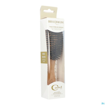 Cartel brosse ovale 9r bois blanc    b6