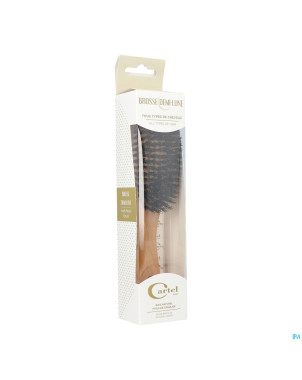 Cartel brosse ovale 9r bois blanc    b6