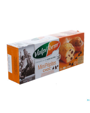 Valpi mini cakes choco s/gluten 6x40g 4017 revogan