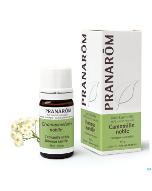 Pranarom he camomille noble 5ml