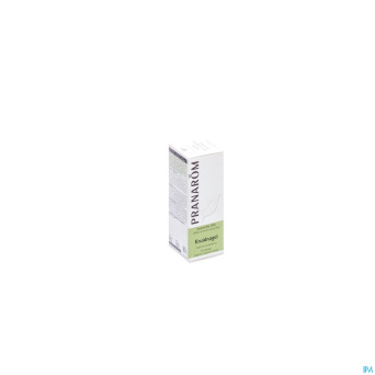 Pranarom he clou de girofle 10ml