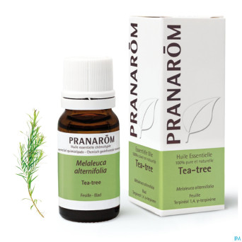 Pranarom he tea tree 10ml