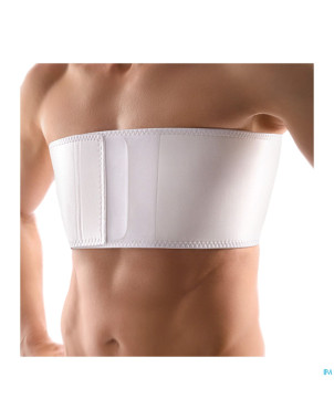 Bort ceinture costale homme blanc    m