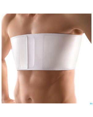 Bort ceinture costale homme blanc    m
