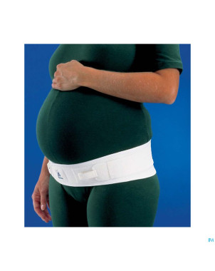 Ortel p ceinture bassin    t2 2740