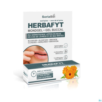 Soria dermosor herbafyt gel buccal    spray 5g