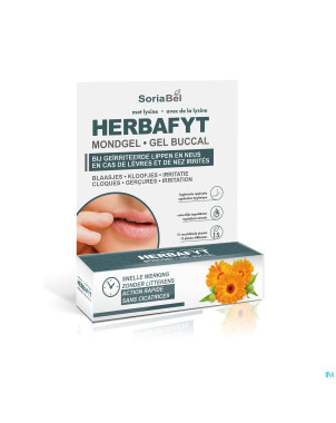 Soria dermosor herbafyt gel buccal    spray 5g