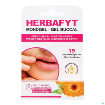 Soria dermosor herbafyt gel buccal    spray 5g