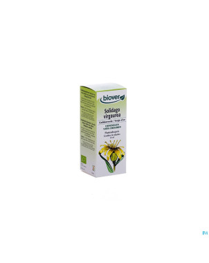 Verge d'or    teint bio  50ml biov