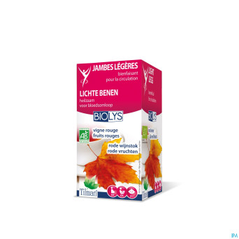 Biolys vigne rouge+fruits rouges   tea-bags 20
