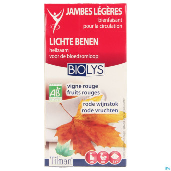 Biolys vigne rouge+fruits rouges   tea-bags 20