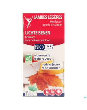 Biolys vigne rouge+fruits rouges   tea-bags 20