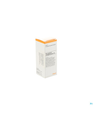 Syzygium-heel compositum n    gutt  30ml heel