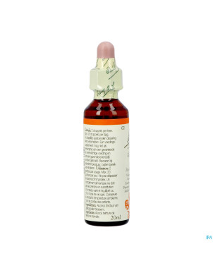 Bach flower remedie 02 aspen   20ml